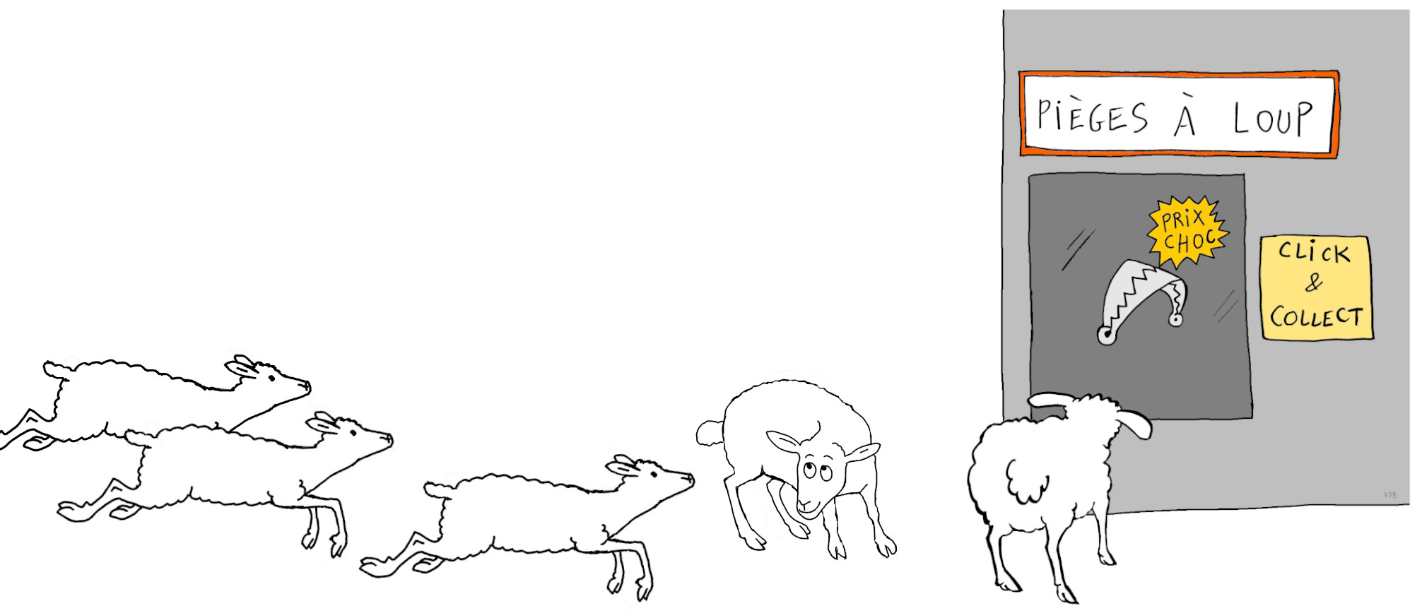 Mouton devant un magasin de pièges à loup